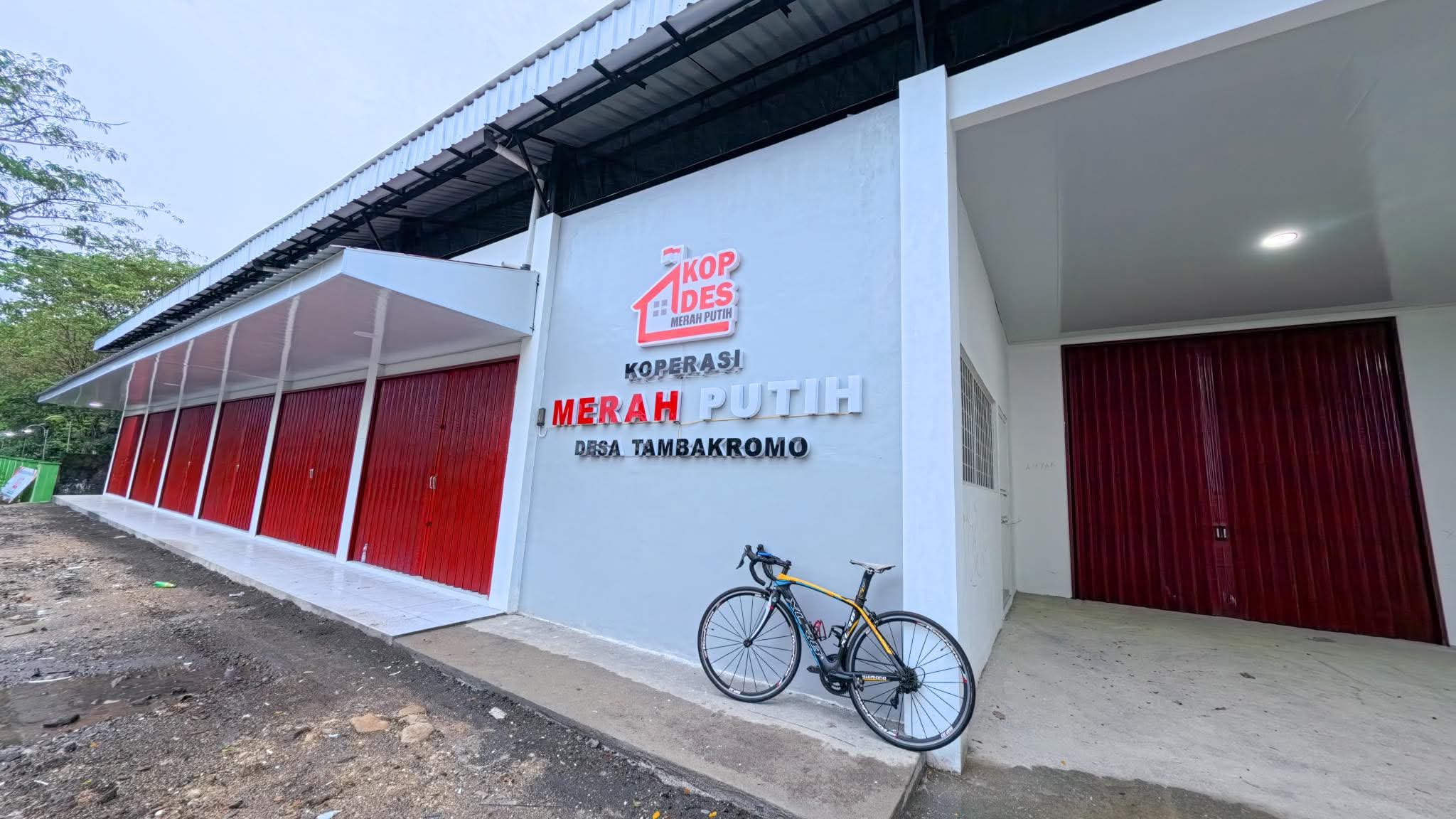 Pengumuman